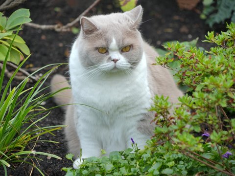 DSC00037.jpg