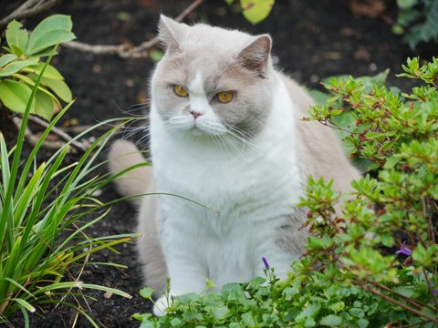 DSC00038.jpg